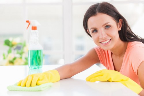 Professional steam carpet cleaning in an Ealing home with deep-clean equipment