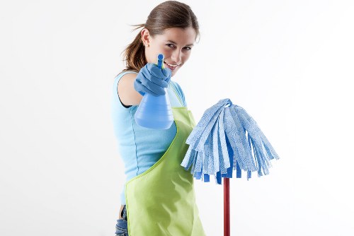 Accessibility-focused carpet cleaning website on a screen reader compatible device