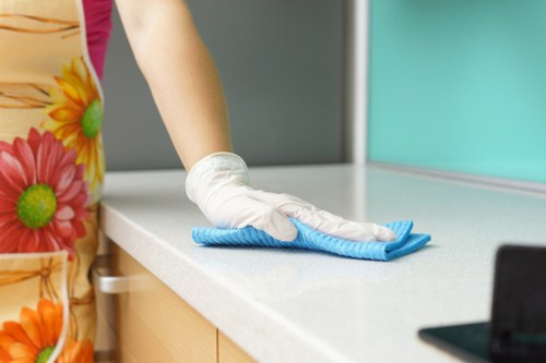 Professional deep clean tailored for Ealing customers