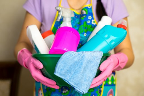Professional hard floor cleaning service in an Ealing home