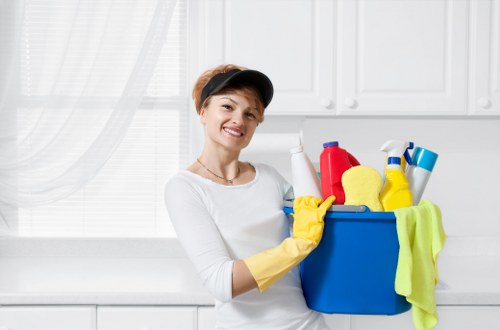 Odour removal service for a mattress affected by pet accidents in Ealing
