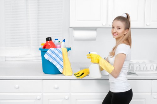 Cleaning service for flats and family homes in Ealing