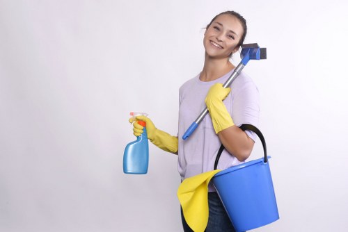 Professional regular cleaning in Ealing for flats and family homes