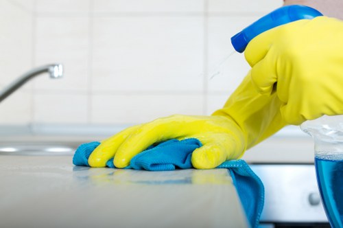 Professional domestic cleaning tasks in a Ealing property