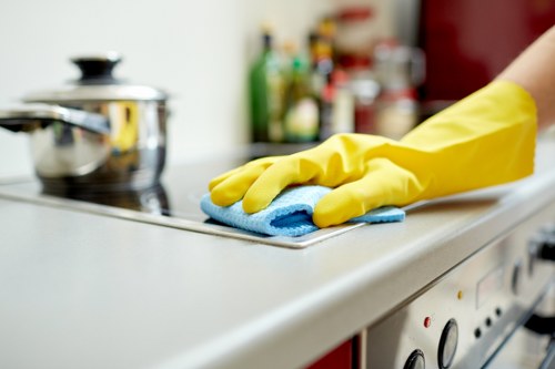 Bathroom cleaning during an Airbnb changeover in Ealing